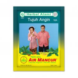 Air Mancur Serbuk Tujuh Angin (10 sachet @7gr)