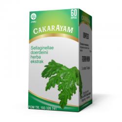 Al Afiat Cakar Ayam 60 Kapsul