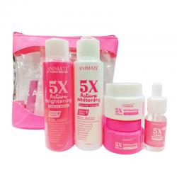 Animate Whitening Series 5 in 1