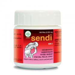Borobudur Sendi 100 Pil