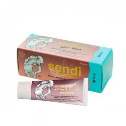 Borobudur Sendi Cream Mint Tube 30gr