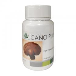 Diamond Interest Gano Plus 60 Kapsul