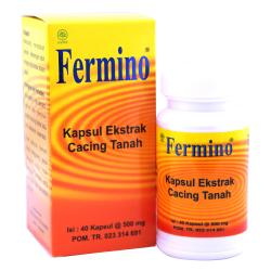 Fermino 40 Kapsul