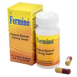 Fermino 12 Kapsul