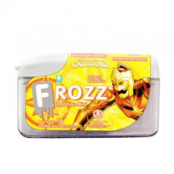 Frozz Yuzu Mint 15gr