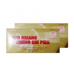 Great Wall Brand Huo Hsiang Cheng Chi Pien 8 Tablet (PAKET ISI 24pcs)