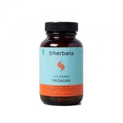 Herbana Pegagan B60