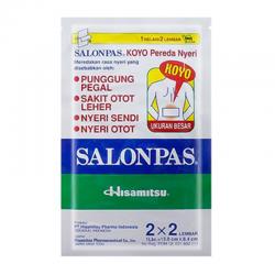 Hisamitsu Salonpas Large 2x2s
