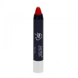Just Miss Lip Color Lipstick C02 (J-23) 2.5gr