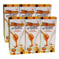 Honey Milk 6x200ml