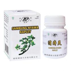 Sambung Nyawa Kaplet