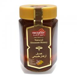 Nectaflor Natural Blossom Honey Jar 500gr