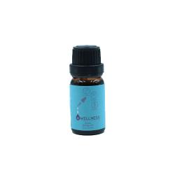 Owellness Boost Oil (Diffuser) Botol 10ml