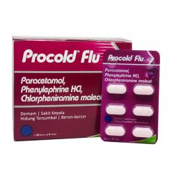 Procold Flu Box (24 Blister @ 6 Kaplet) (ED: Nov 25)
