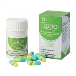 Ludoi 20 Kapsul