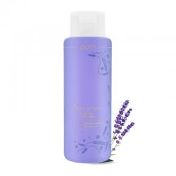 Putri Spa Series Relaxing Hair Tonic Lavender 450ml
