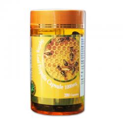 Spring Leaf Propolis (200 Kapsul @1000mg)