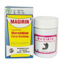 Santeri Magirin 100 Pil