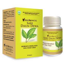 Sidomuncul Daun Dewa 30 Kapsul