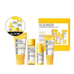Some By Mi Yuja Niacin 30 Days Anti Blemish Starter Kit