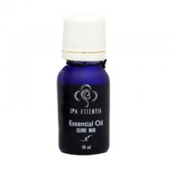 Spa Essentia EO Basil 10ml