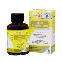 Lanzhou Foci Qi Ju Di Huang Wan 200 Pil