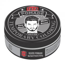 Tata Styling Pomade Temporary Coloring Silver 75gr