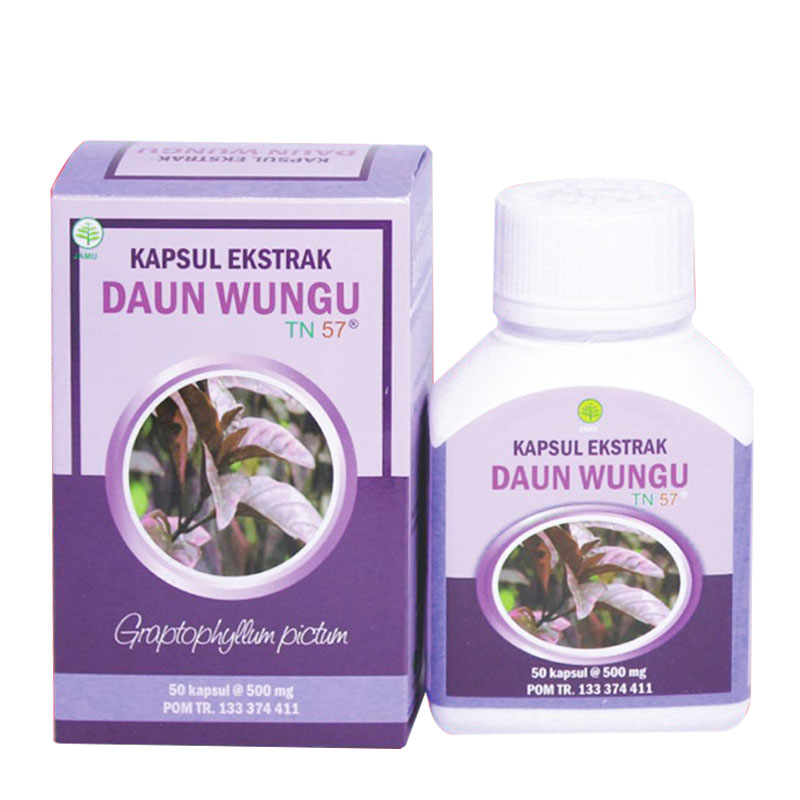 Jual Toga Ekstrak Daun Wungu 50 Kapsul 500mg Hbhoz