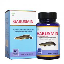 Toga Gabusmin 60 Kapsul