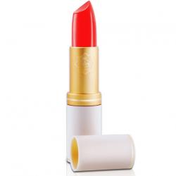 Viva Cosmetics Lipstick Queen #101