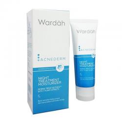 Wardah Acnederm Night Treatment Moisturizer 40ml