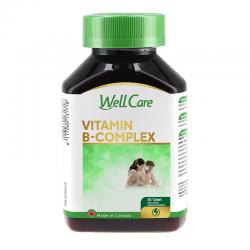 Well Care Vitamin B-Complex 60 Tablet (BELI 3 Pcs BONUS 1 Pack Tissue Basah & 1 Pcs Washlap Baby)