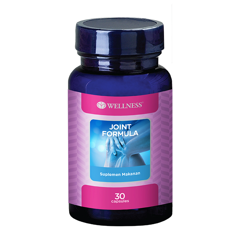 Wellness Joint Formula 30 kapsul Gogobli